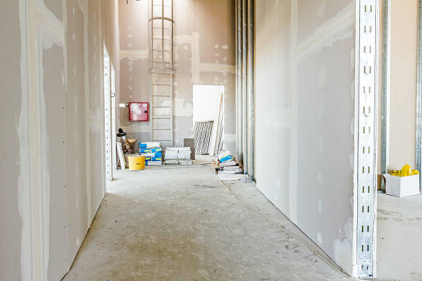 Best Drywall Sanding and Smoothing  in Canfield, OH